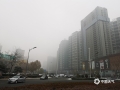 中国天气网讯 近两天早晨，河北廊坊三河燕郊城区连续被浓雾笼罩。在当地，不仅是天气白茫一片，植被、地面也覆盖了类似降雪的白色冰晶，把城区染成了一片白色。据当地气象专家介绍，这些冰晶就是我们平时知道的雾凇。主要是雾气中湿度较大，再加上夜间气温较低，从而在物体表面凝结而成。（图/李辉）