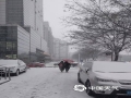 承德市区路面积雪，市民出行受影响。（图/庞德富）