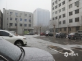 中国天气网讯 今天（5日）上午10时许，河北石家庄迎来了进入2020新年的首场降雪。由于正值周日上午出行高峰，密集的雪花迅速染白了地面，使路面变得非常湿滑，给市民的周末出行带来不小的影响。（图/冯慧明）