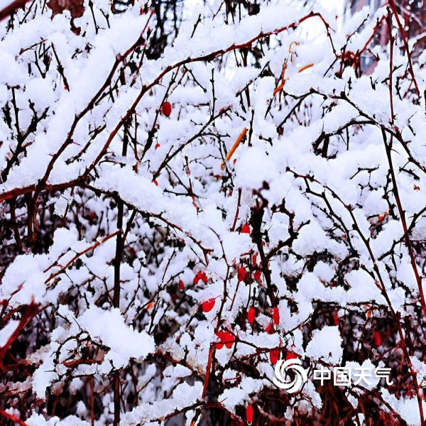 新一轮雨雪抵达辽宁 东北部雪势猛烈(1/10)