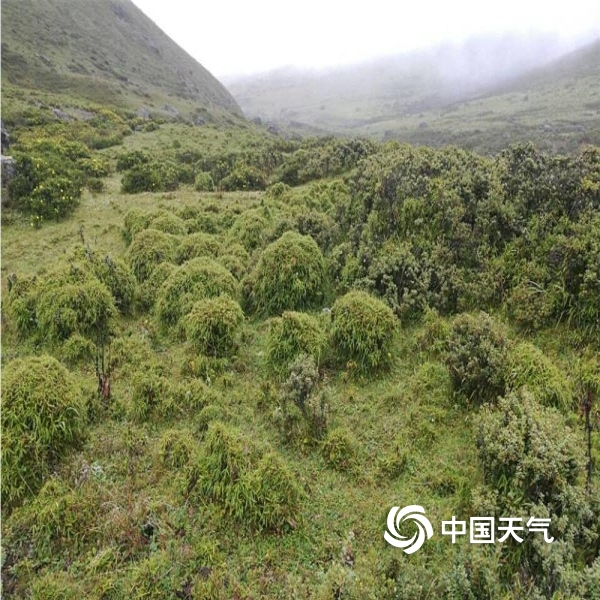 美姑大风顶美景如画(1/7)