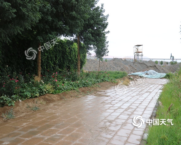 吐鲁番市喜获降雨抒缓酷热