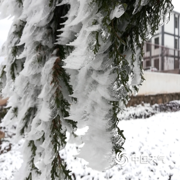 鲁甸县新街镇转山包村最大积雪深度达2cm,一夜回到了冬季,大地一片