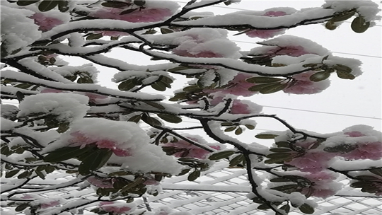 强冷空气来袭 “五一”丽江高海拔地区出现降雪