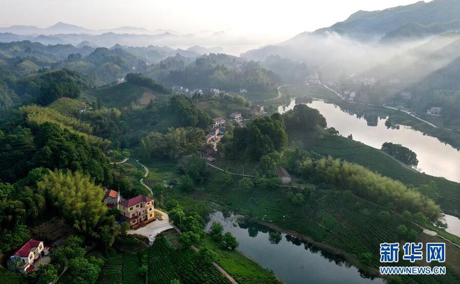 安徽六安茶谷景色美