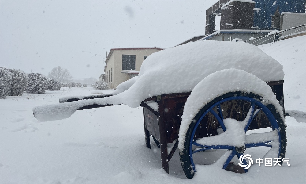 內蒙古赤峰多地遭遇大到暴雪侵襲4月中旬少見