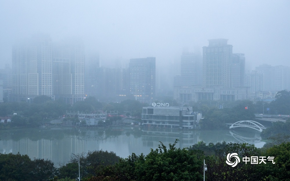 湿漉漉 广西南宁遭遇雨雾和回南天“双面夹击”-图片频道