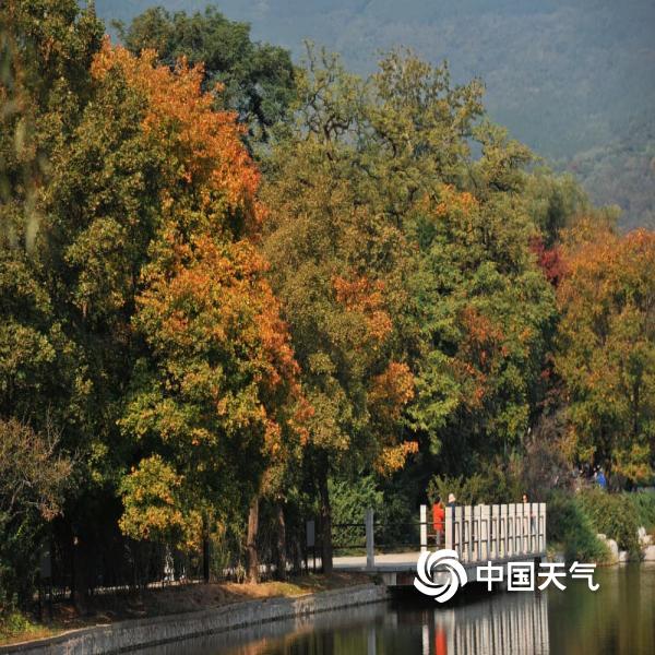秋染国家植物园 色彩斑斓绘成诗-图片-中国天气网