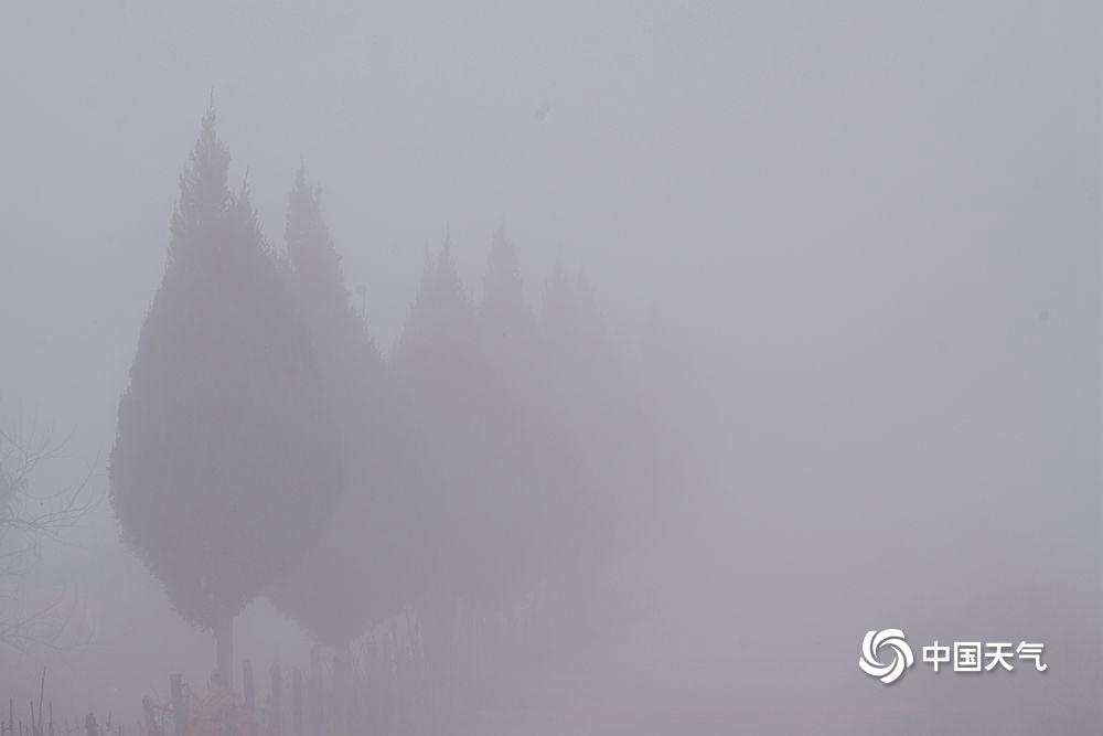 今晨我国多地出现大雾天气局地能见度不足200米 一组图直击朦胧现场-图片频道
