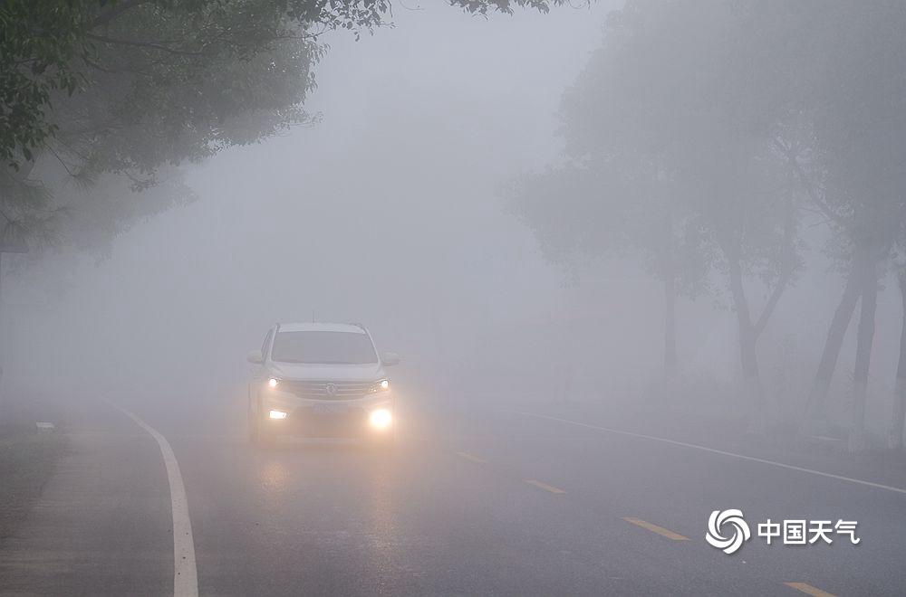今晨我国多地出现大雾天气局地能见度不足200米 一组图直击朦胧现场-图片频道