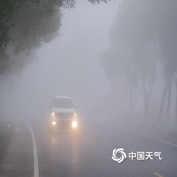 今晨我国多地出现大雾天气局地能见度不足200米 一组图直击朦胧现场-图片-中国天气网