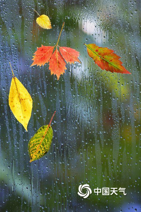 雨落成诗 那些雨中的诗情画意-图片频道