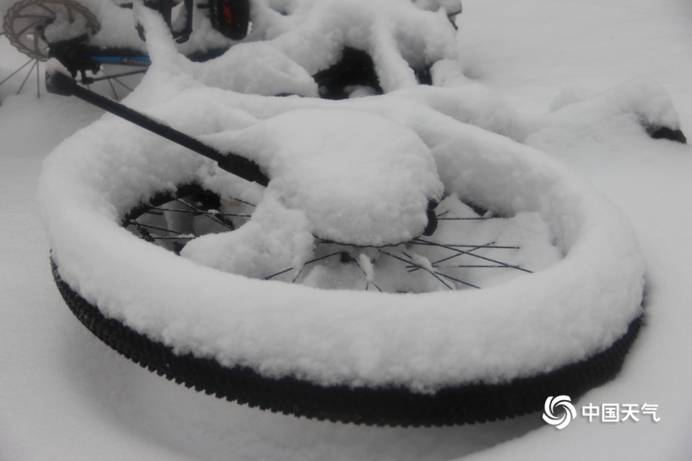 辽宁锦州大雪纷飞 城市披上白"绒衣"